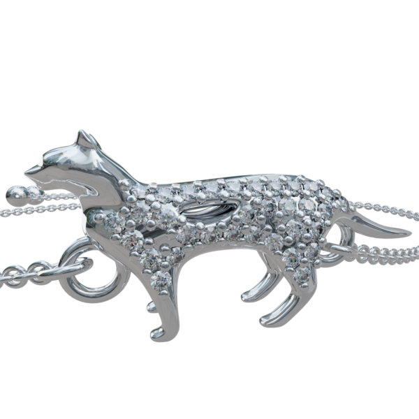 Cat - Image 2